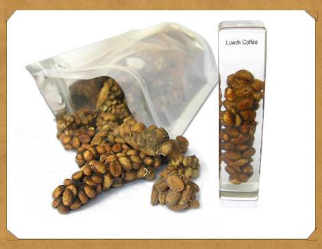 :	image012.jpg
: 457
:	33.8 