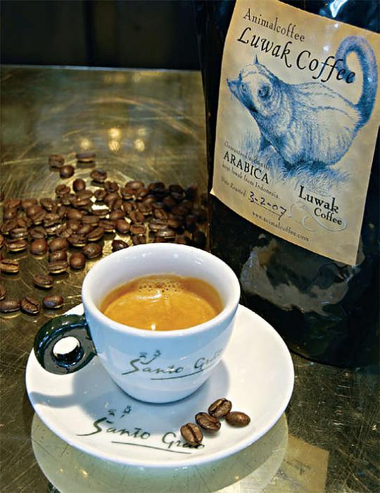     

:	image014.jpg
:	235
:	61.3 
:	874