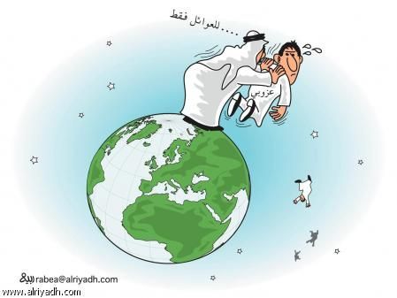 :	17.jpg
: 491
:	19.9 