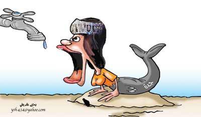 :	31.jpg
: 510
:	15.0 