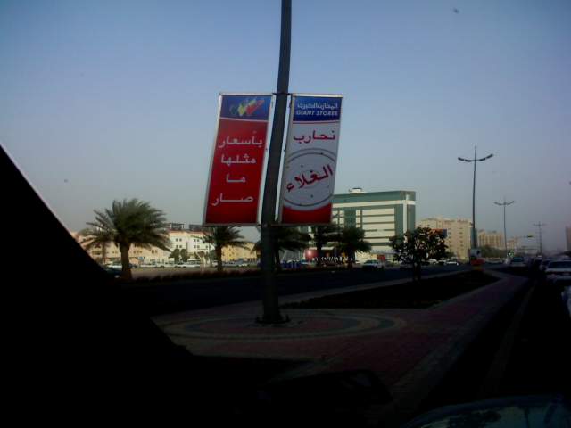 :	PIC017.jpg
: 395
:	20.3 