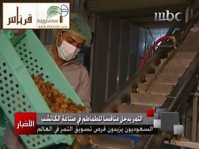 :	Br7.jpg
: 570
:	22.2 