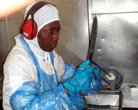 الاسم: image009.jpg
المشاهدات: 1471
الحجم: 40.1 كيلوبايت